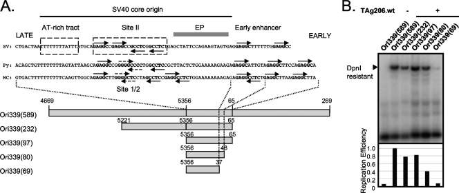 FIG. 1.