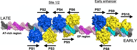 FIG. 7.