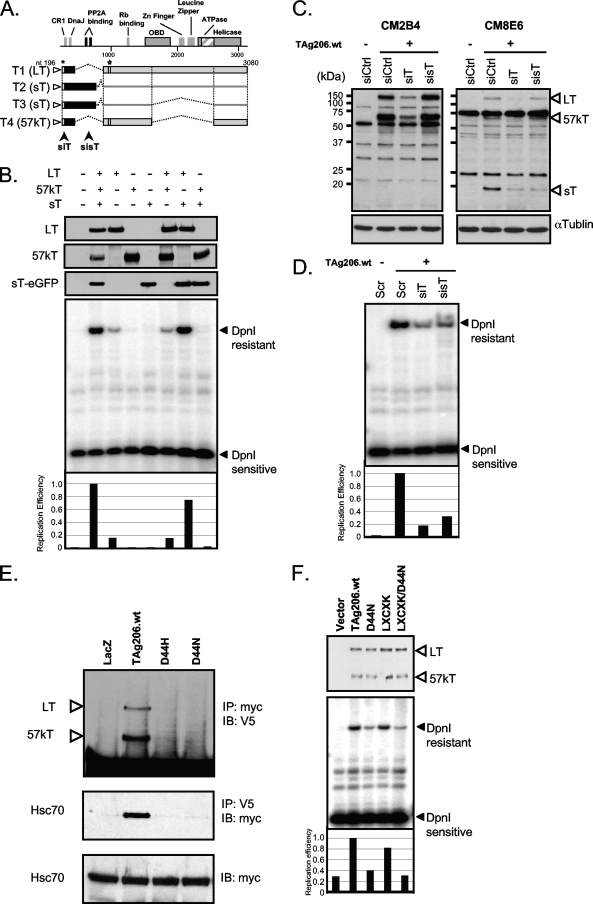 FIG. 6.