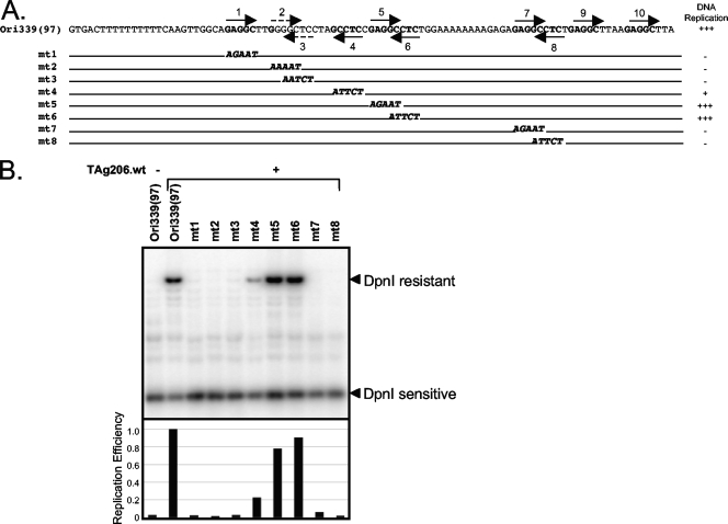 FIG. 3.