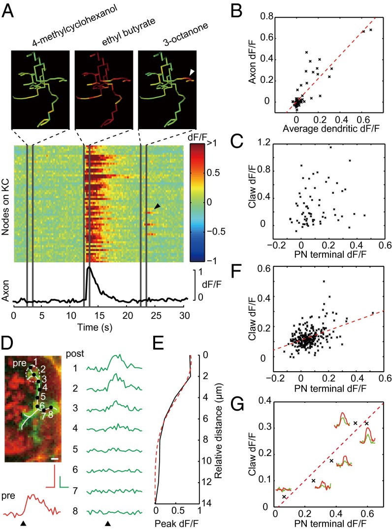 Fig. 4.