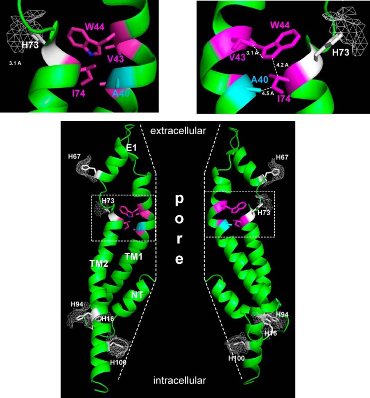 FIGURE 9.