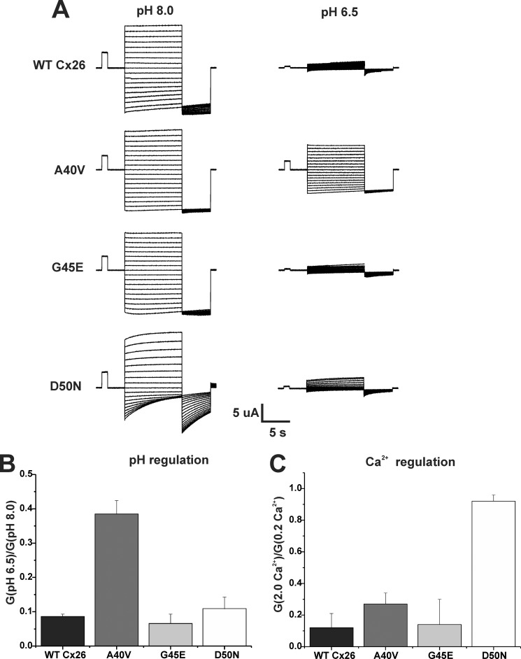 FIGURE 1.