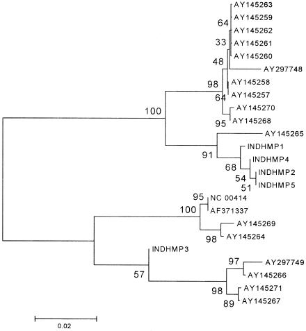 FIG. 1.