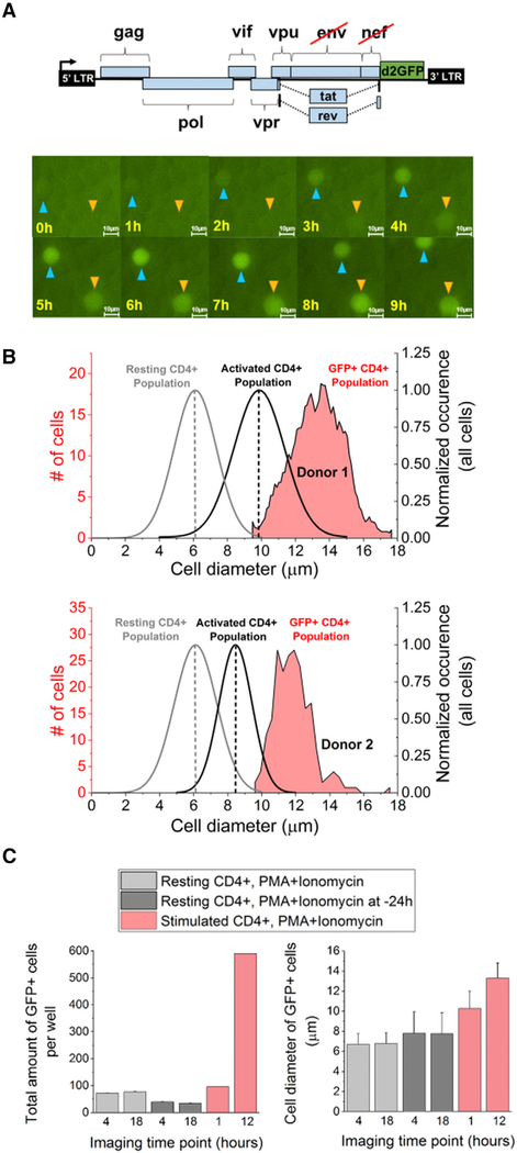 Figure 4.