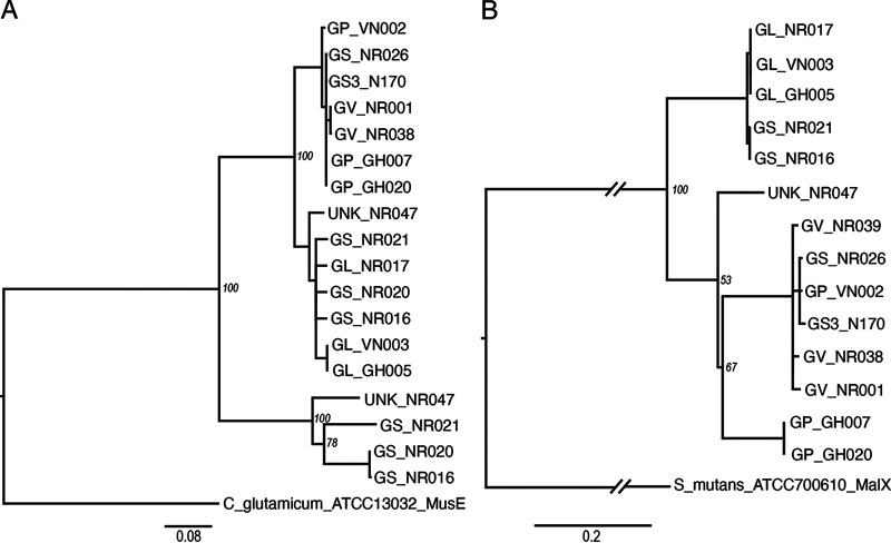 FIG 2