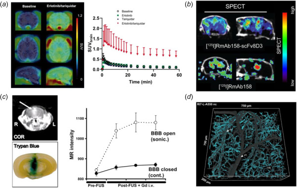 Imaging-based techniques to measure BBB transport. (a) Left: Representative coronal, axial, and sagittal [11C] erlotinib PET summation images obtained in macaques. Right: Metabolite-corrected arterial input function of the parent [11C] erlotinib in the brain of macaques under the different tested conditions (adapted from Tournier et al. [72]). (b) Coronal and sagittal SPECT images of representative tg-ArcSwe mice at day 14 after injection of RmAb158-scFv8D3 or RmAb158 (adapted from Gustavsson et al. [73]). (c) Left: a representative example with BBB disruption achieved by 0.6-MPa focused ultrasound exposure. The BBB opening was easily monitored by leakage of the MR contrast agent into the brain parenchyma (arrows). The location of the BBB opening was confirmed by trypan blue staining of the affected area. Right: magnitude of BBB disruption monitored by the MR-intensity change. Absolute values of the MR intensity are plotted for repeated image acquisitions after sonication (adapted from Kinoshita et al. [74]). (d) 3D reconstruction of the signal from nanoparticles associated with endothelium 2 h postinjection in vivo. It is based on two-photon in vivo images of RI7-L-A550 nanoparticles (adapted from Kucharz et al. [75]).