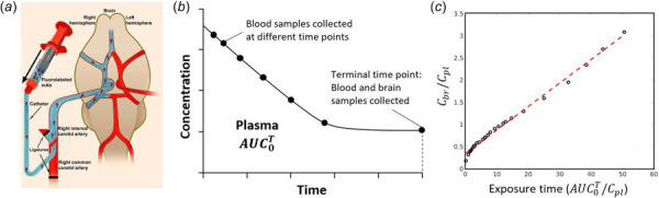 In vivo techniques for measuring brain uptake. (a) Schematic of in situ brain perfusion. A catheter in the external carotid artery is used for the perfusion of the drug-containing buffer (adapted from Alata et al. [61]). (b) Single time point analysis method. Blood samples are collected at different time points during the transcranial perfusion, as well as the final brain sample. The drug concentration of these samples and be measured, and a curve representing the relation can be drawn. (c) Multiple time point analysis method. Taking brain samples at different time points and assuming a linear range of uptake for a given tracer, a linear relationship between the ratio of brain/blood concentration and the exposure time will be displayed. The slope represents the drug transport rate (Kin) (adapted from Sommariva et al. [62]).