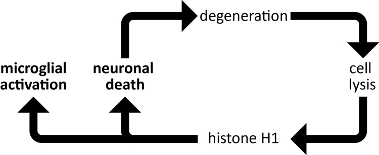 Figure 11. 