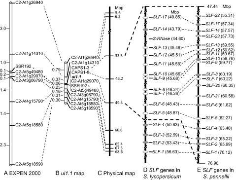 Fig. 1.