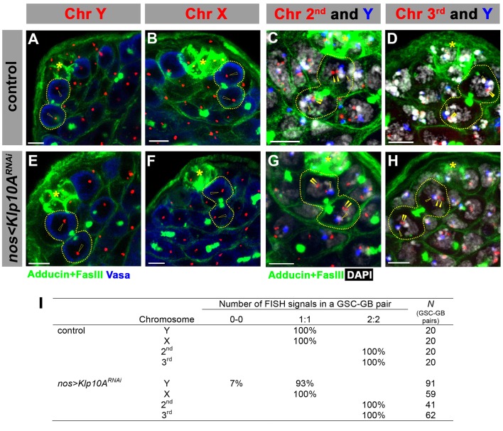 Figure 4—figure supplement 2.