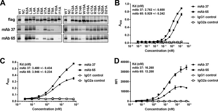 FIG 1