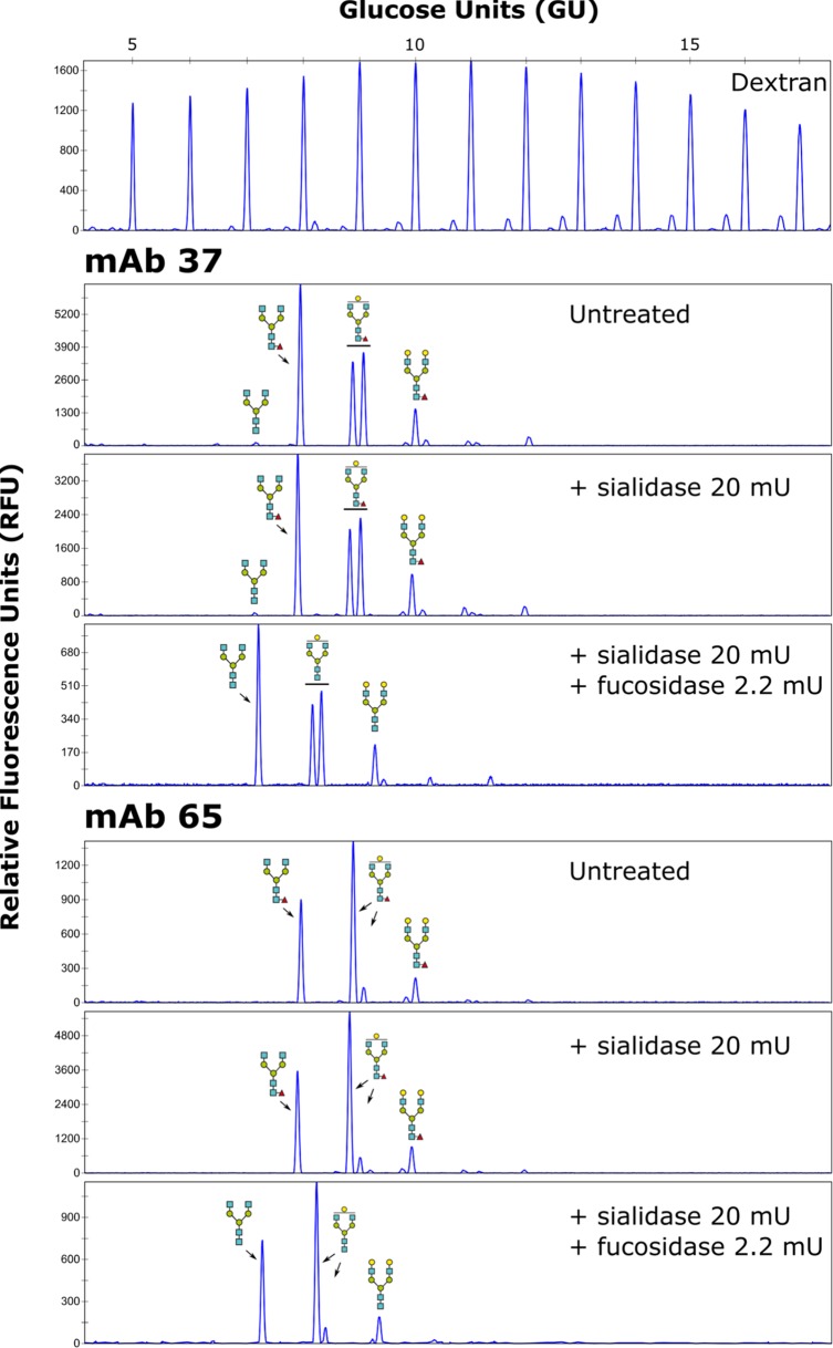 FIG 2