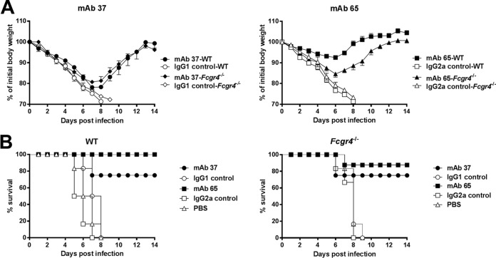 FIG 6