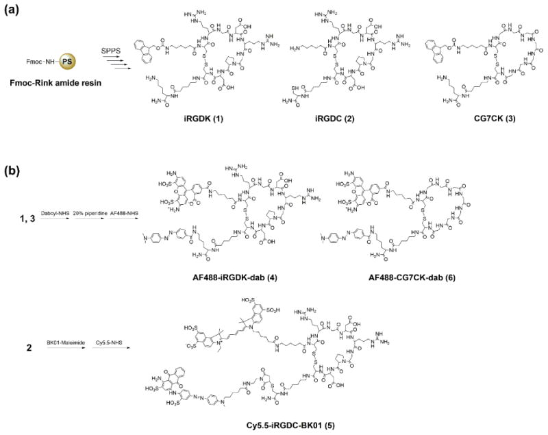 Scheme 2