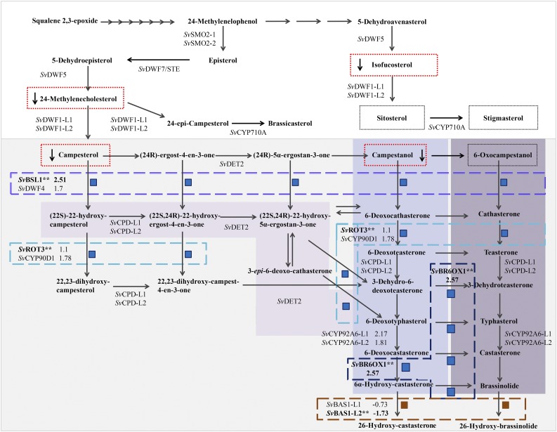 Figure 6.