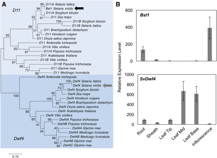 Figure 4.