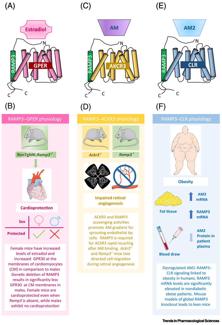 Figure 3: