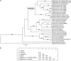 Figure 2: