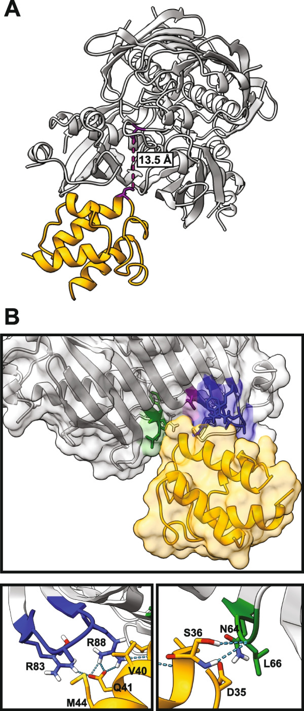 Fig. 8