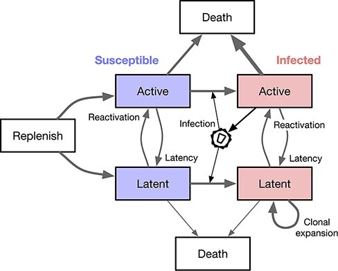 Figure 1.