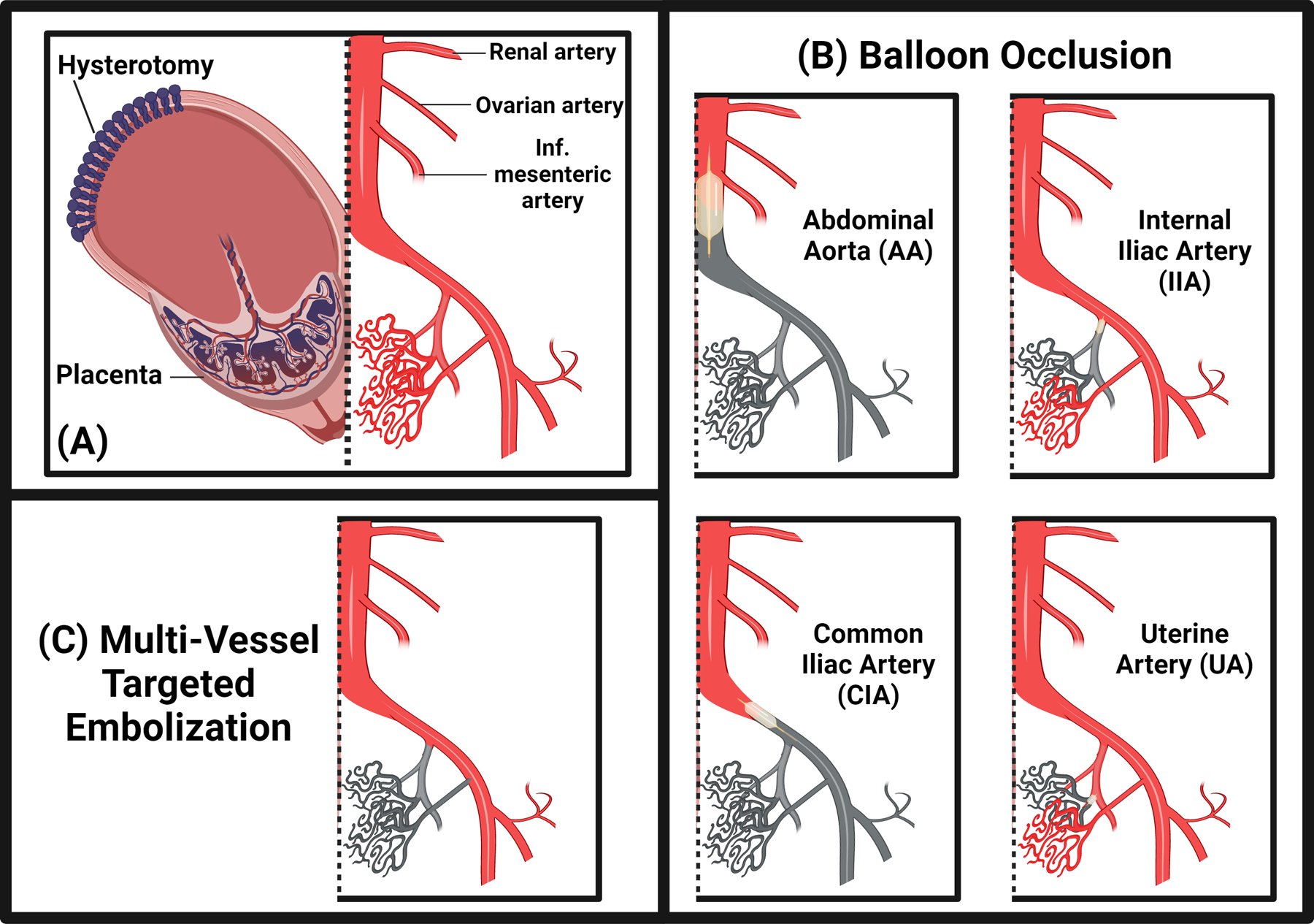 Figure 3: