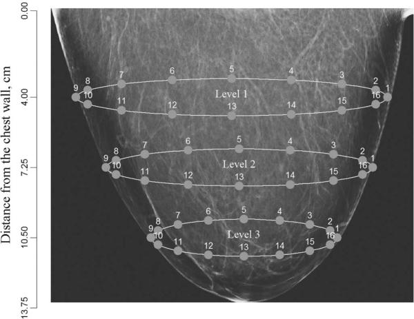 Fig. 5