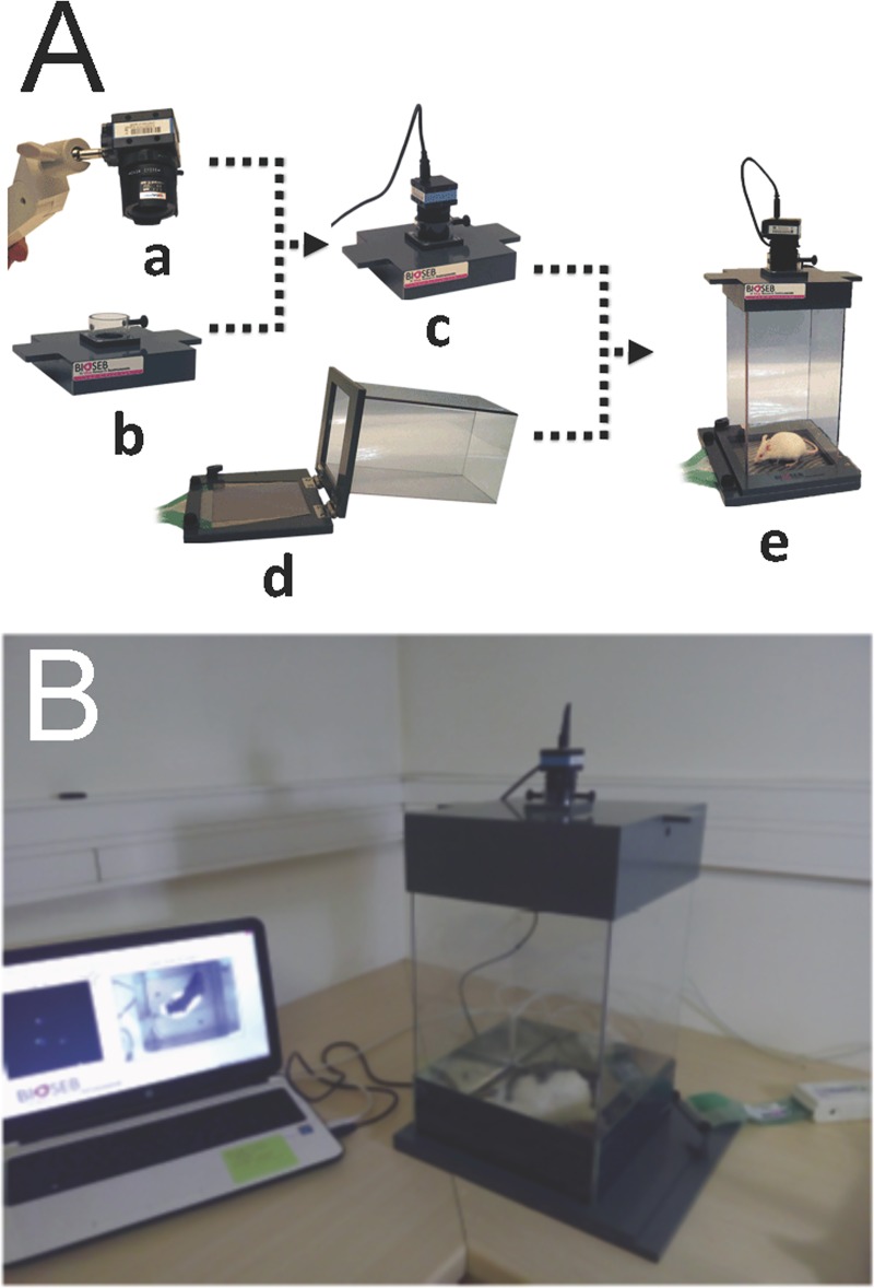 Fig 2