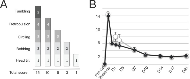 Fig 10