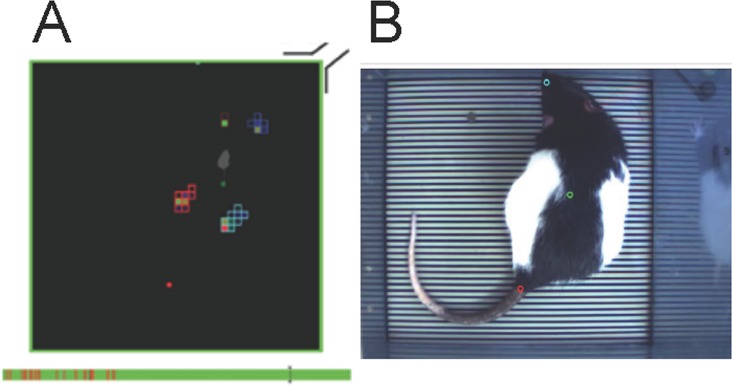 Fig 3