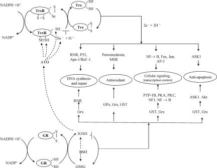 Fig. 5.