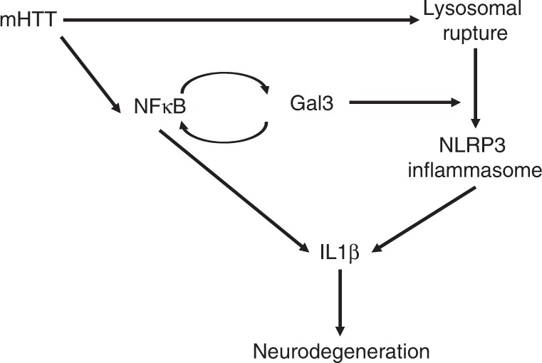 Fig. 10