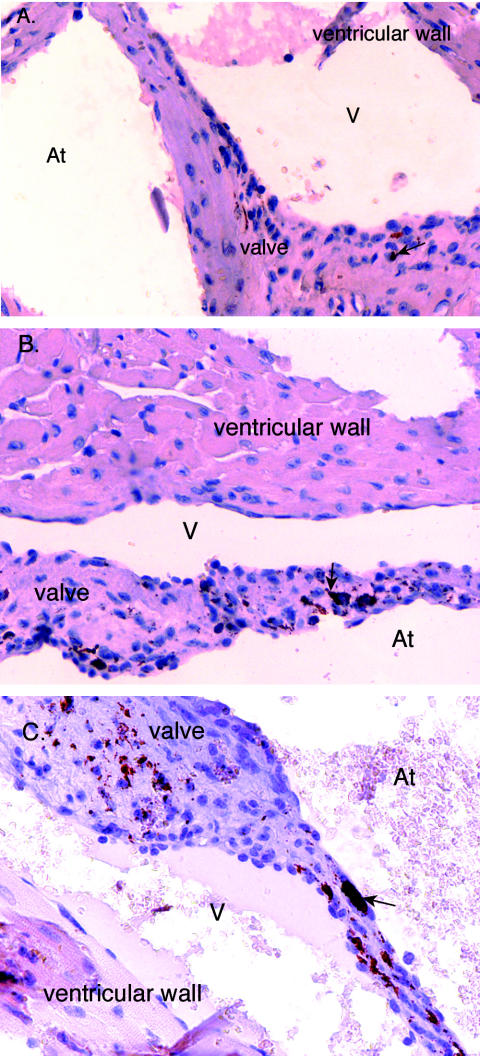 FIG. 6.