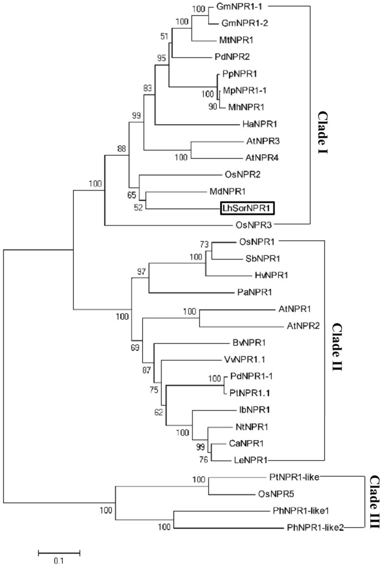 Fig. 4