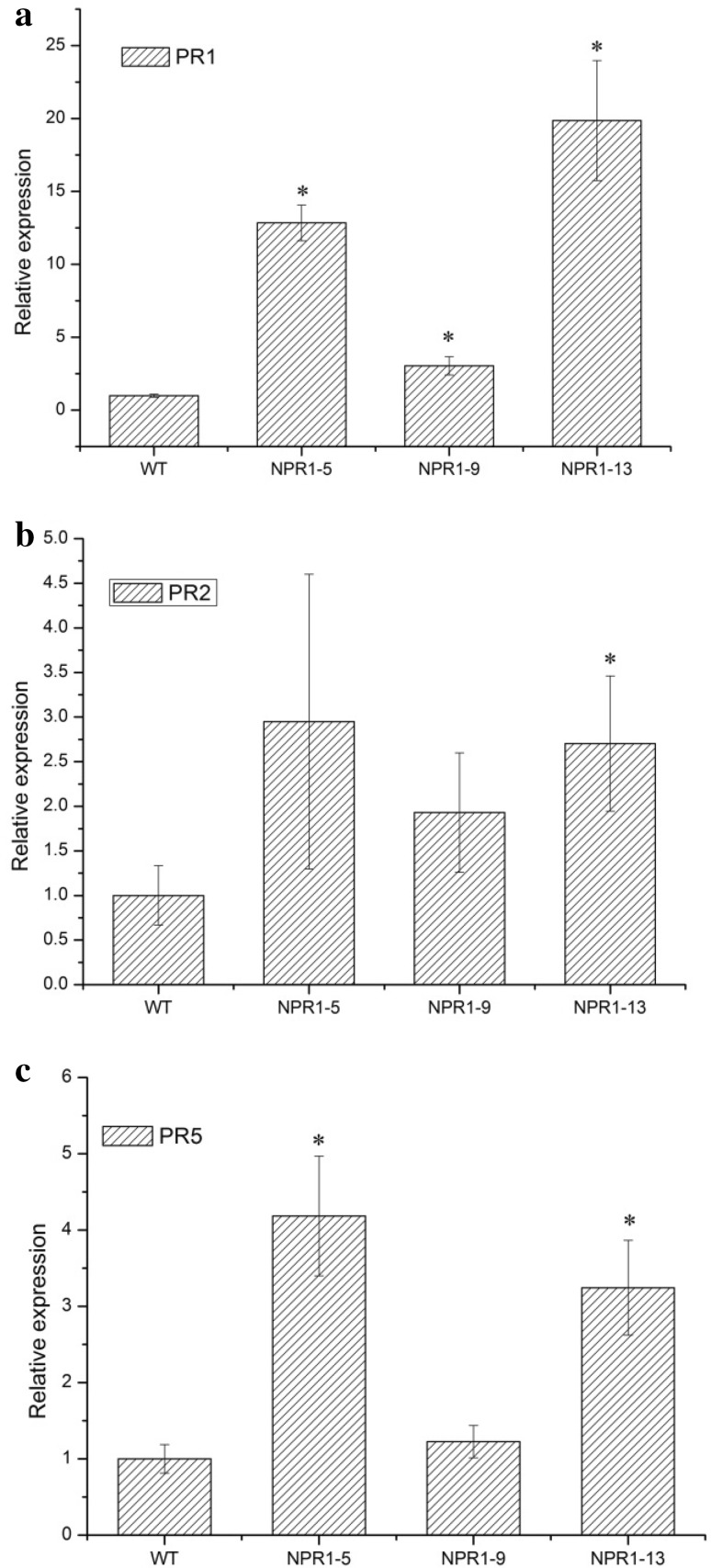 Fig. 8