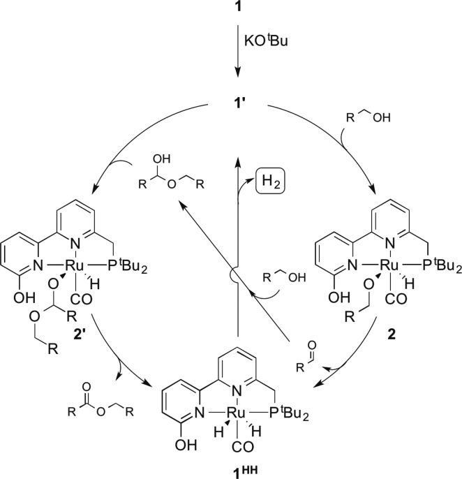 Scheme 5