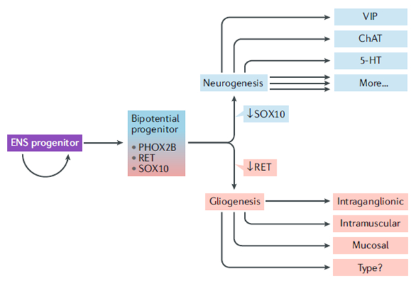 Fig. 2 |