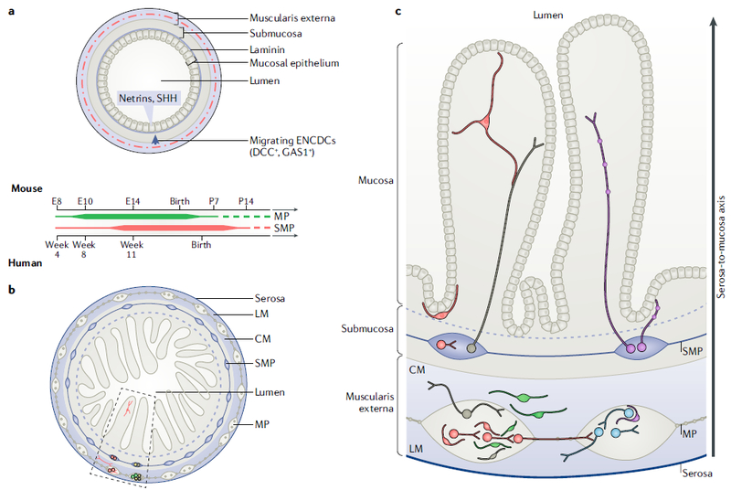 Fig. 3 |