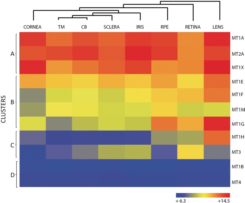 FIGURE 1.