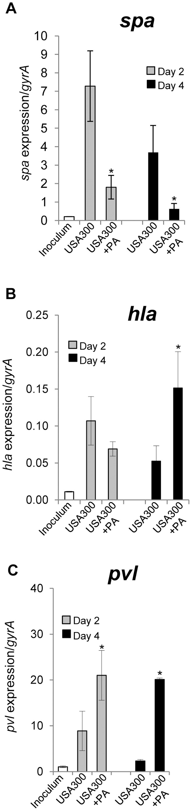 Figure 6