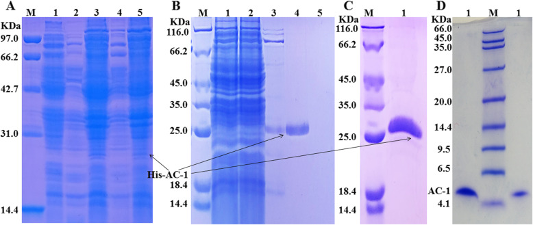 Fig. 8