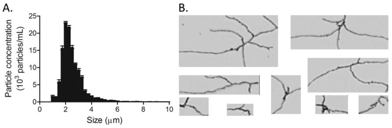 Figure 8