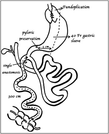 Fig. 1