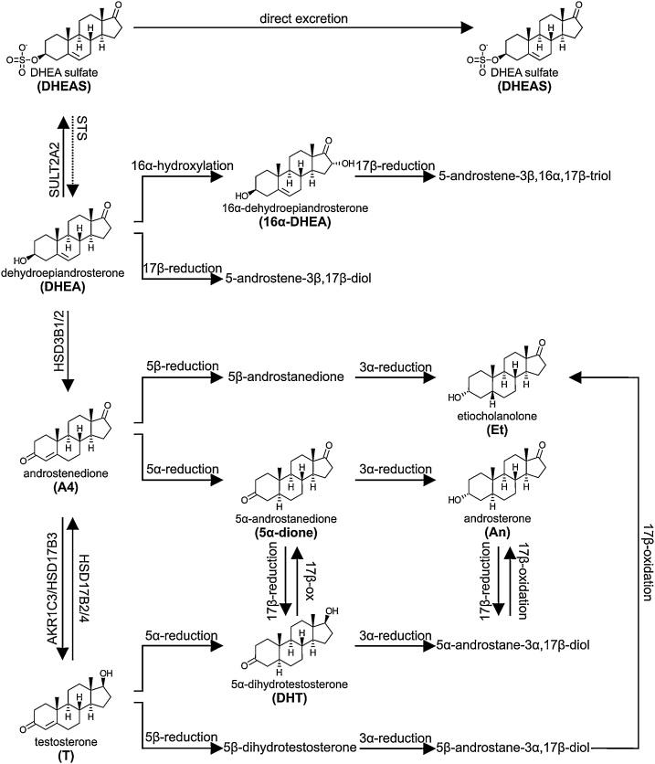 Fig. 8