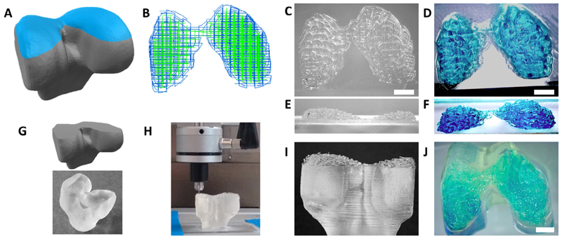 Fig. 9