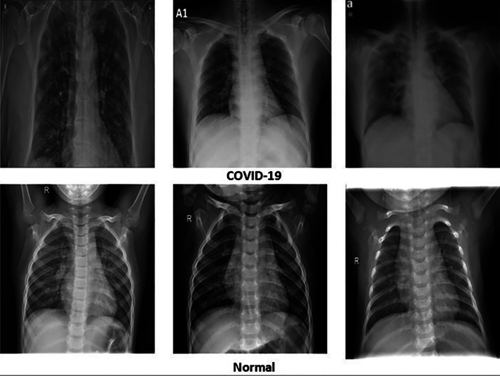 FIGURE 3