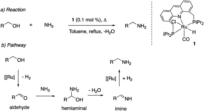 Fig. 13