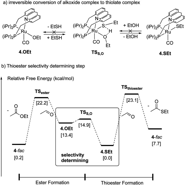 Fig. 31