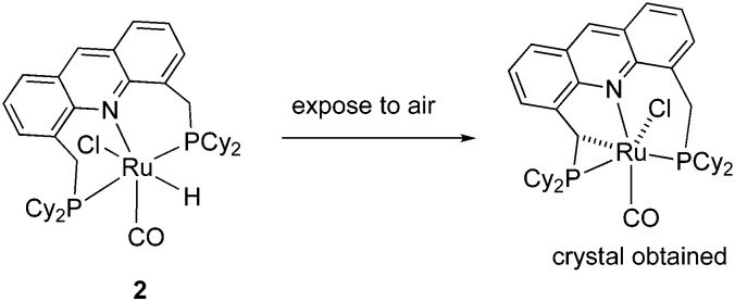 Fig. 12