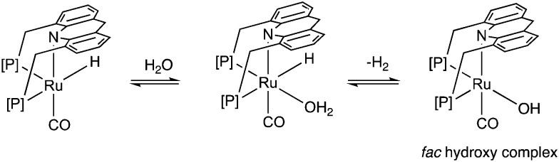 Fig. 10